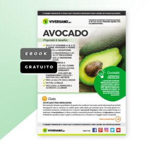 Avocado: le proprietà e come usarlo