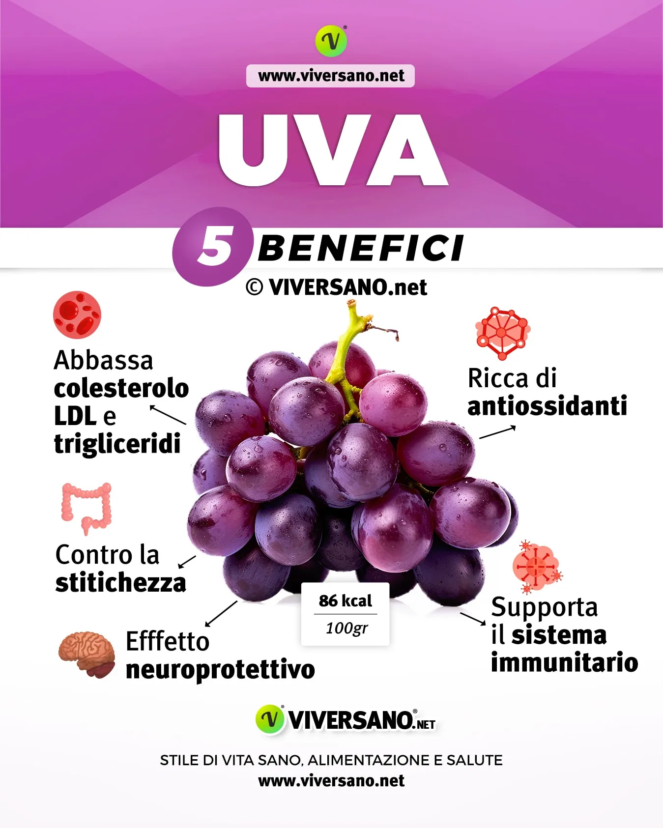Le proprieta dell uva